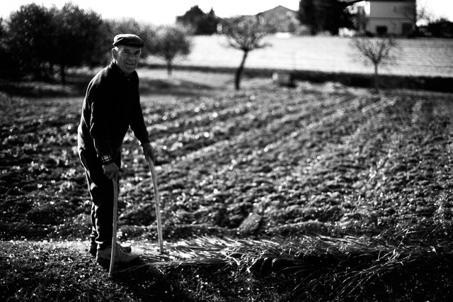 La vita tra i campi