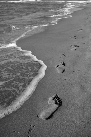 IN CAMMINO VERSO LA LIBERTA’