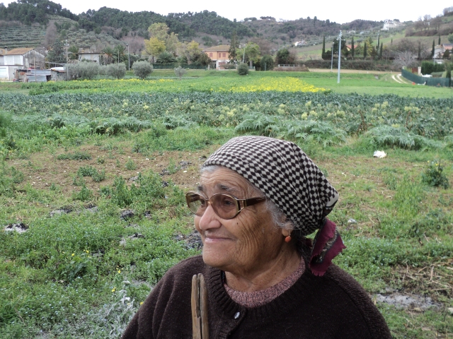 Uno sguardo sulla campagna